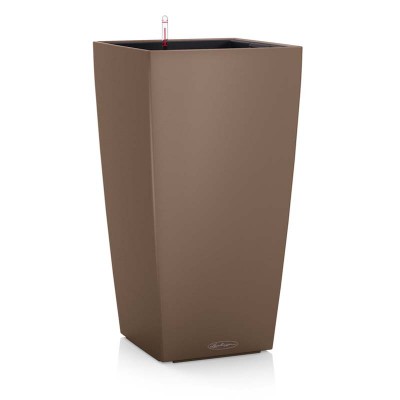 CUBICO Color 30 мускатний