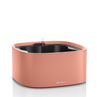 PILA Color Stick коралловый