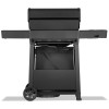Газовый гриль Napoleon Freestyle PRO 425 с 4-мя основными горелками и боковым SIZZLE ZONE, черный - FP425DSIBPK-1-RC фото_7 