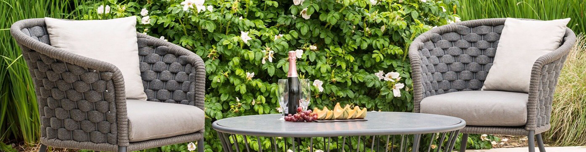 Alexander Rose, Англия