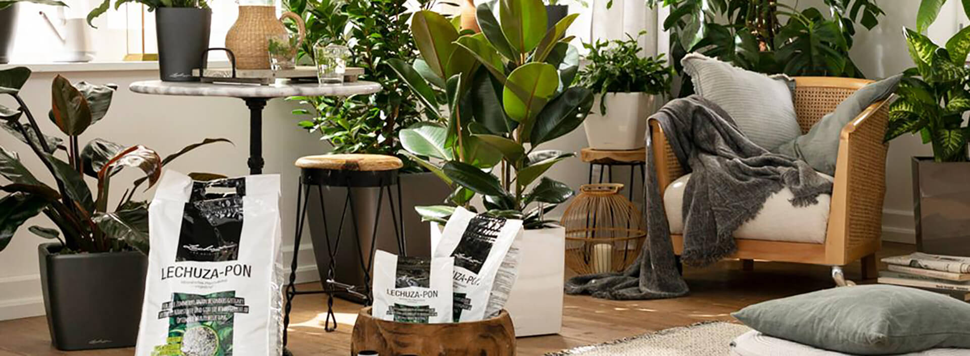 Lechuza, Германия